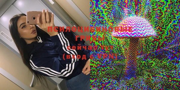 ГАЛЛЮЦИНОГЕННЫЕ ГРИБЫ Зеленодольск