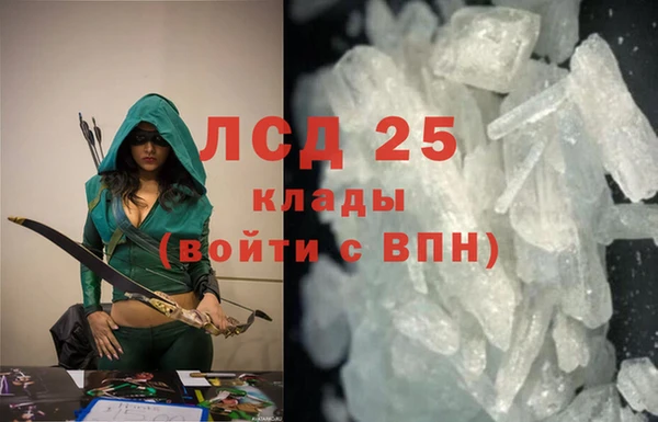 ГАЛЛЮЦИНОГЕННЫЕ ГРИБЫ Зеленодольск